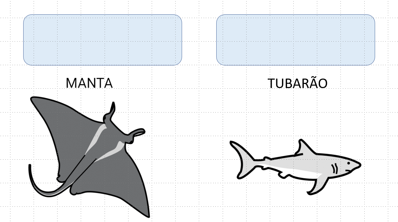 Vocabulário sobre MAR e OCEANOS